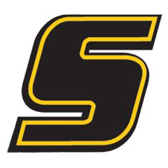 SWAT Consulting Inc.